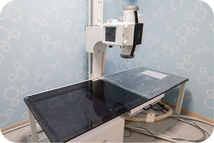 レントゲン撮影台